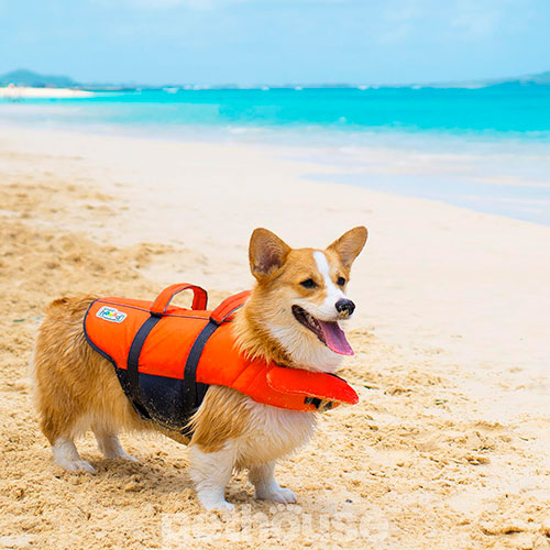 Outward Hound Granby Splash Рятувальний жилет для собак, помаранчевий