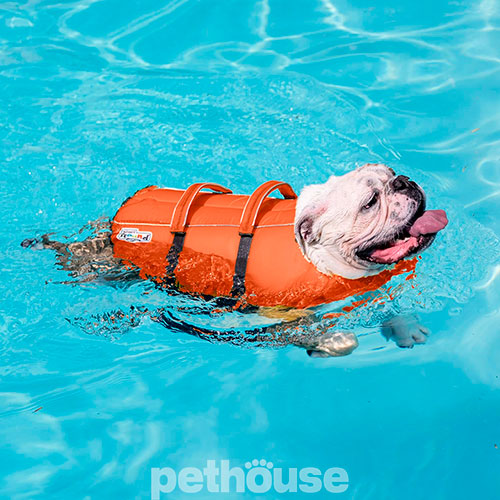 Outward Hound Granby Splash Рятувальний жилет для собак, помаранчевий