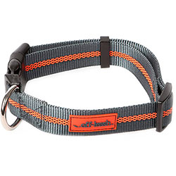 Dexas Off-Leash Collar Нашийник для собак