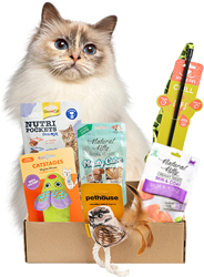 Present Cat Box