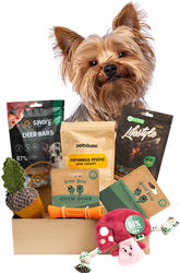 Present Small Breed Box
