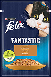 Felix Fantastic з індичкою в желе