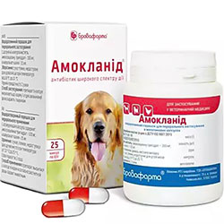 Амокланид Капсулы, 500 мг