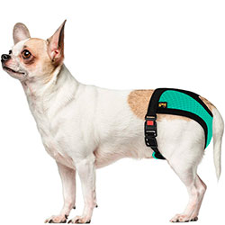 Barksi Mesh Трусы гигиенические для собак, ментоловые