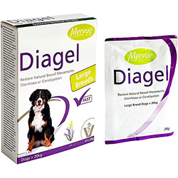 Mervue Diagel Large Breed Dogs