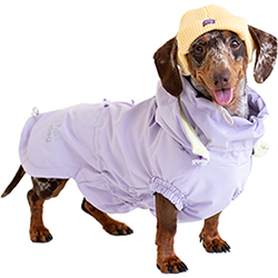 Hat-Dog Girl Вітрівка для такс, лілова