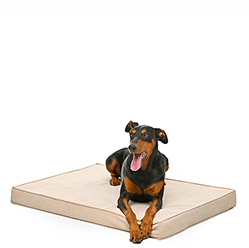 Noble Pet Nolan Velvet Sand Матрац для собак