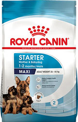 Royal Canin Maxi Starter