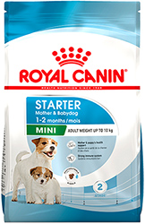 Royal Canin Mini Starter