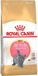 Royal Canin British Shorthair Kitten