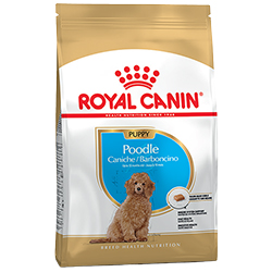 Royal Canin Poodle Puppy