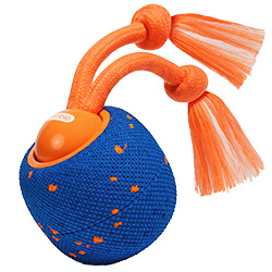 Cheerble Wicked Ball Rolly Інтерактивний електромеханічний м'яч для собак