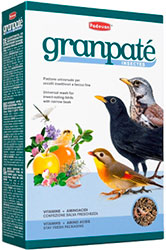 Padovan Granpatee Insectes