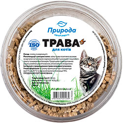 Природа Трава для проращивания