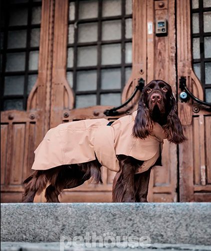 Paikka Visibility Raincoat Lite Taupe Дождевик для собак, светло-коричневый