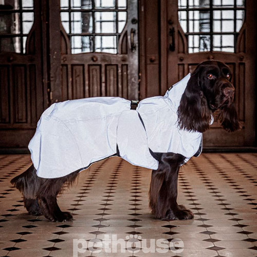 Paikka Visibility Raincoat Lite Taupe Дождевик для собак, светло-коричневый