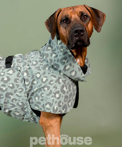 Paikka Visibility Raincoat Lite Green Leo Дощовик для собак, світло-зелений