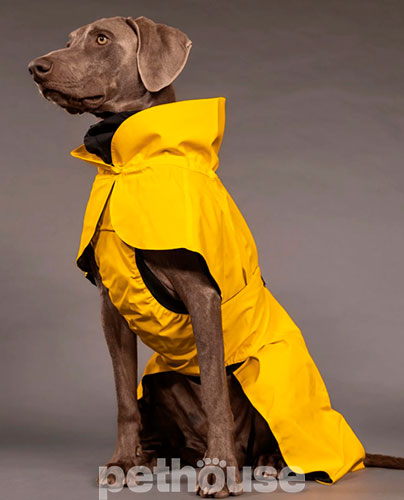 Paikka Visibility Raincoat Lite Yellow Дощовик для собак, жовтий