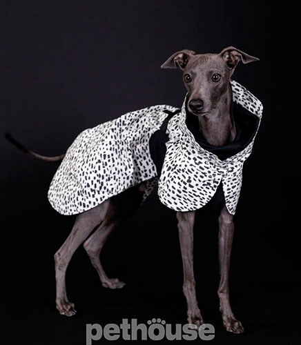 Paikka Raincoat 2.0 Плащ-дождевик для собак