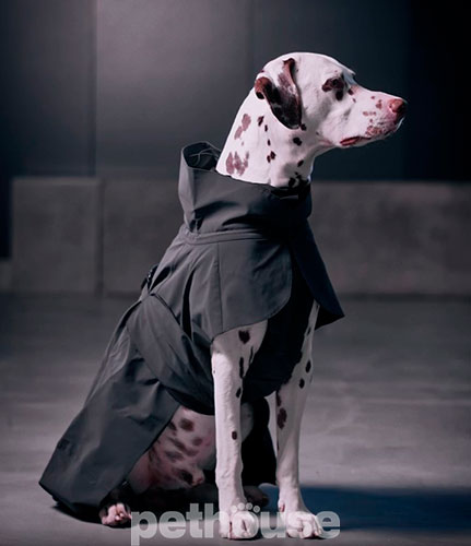 Paikka Visibility Raincoat Dark Дождевик для собак, темно-серый