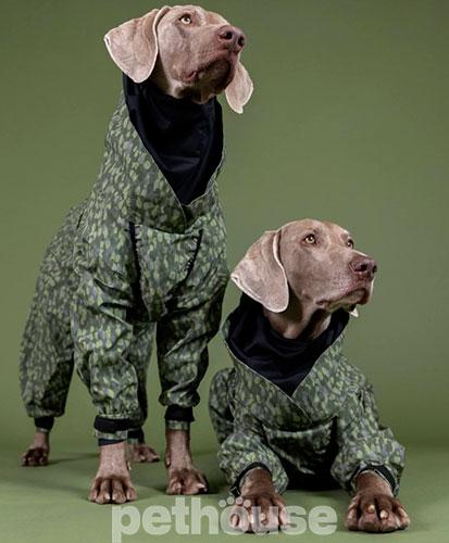 Paikka Rain Suit Костюм для собак, зелений