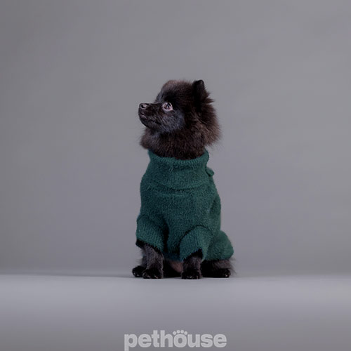 Paikka Furry Knit Sweater Green Вязаный свитер для собак, зеленый