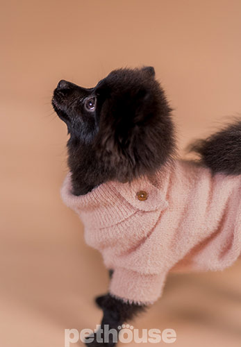 Paikka Furry Knit Sweater Rose Вязаный свитер для собак, розовый