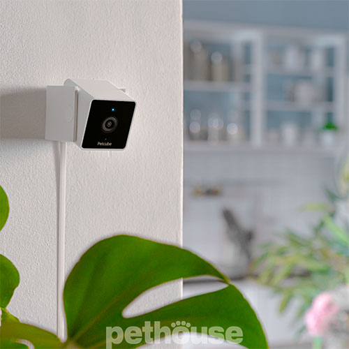 Petcube Cam Компактна HD-камера