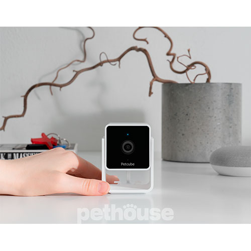 Petcube Cam Компактна HD-камера