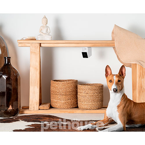 Petcube Cam Компактна HD-камера