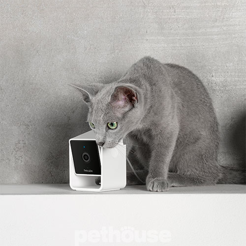 Petcube Cam Компактна HD-камера