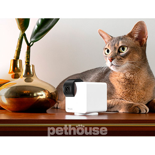 Petcube Cam 360 Компактна HD-камера