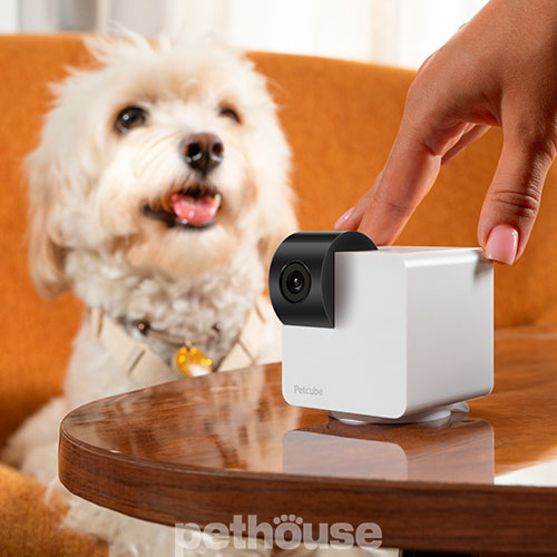 Petcube Cam 360 Компактна HD-камера