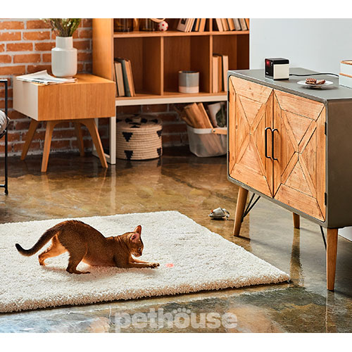 Petcube Play 2 Інтерактивна HD-камера, з лазером