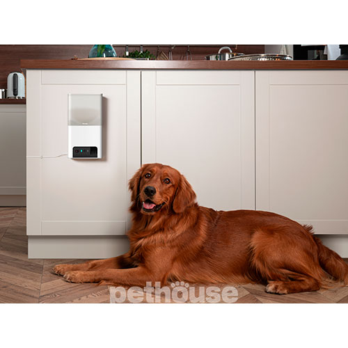 Petcube Bites 2 Lite Інтерактивна HD-камера, з дозатором ласощів