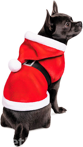 Pet Fashion Попона "Santa" для собак, красная
