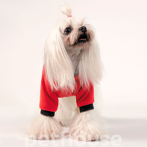 Pet Fashion Толстовка "Holiday" для собак