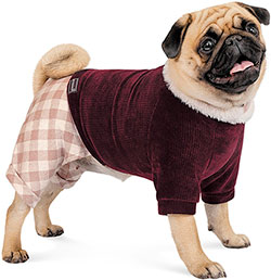 Pet Fashion Костюм "Spell" для собак