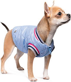 Pet Fashion Бомбер "Spike" для собак