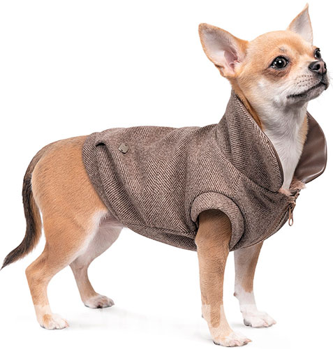 Pet Fashion Жакет "Harry" для собак
