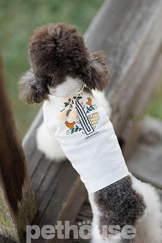 Pet Fashion Вишиванка "Ostap" для собак