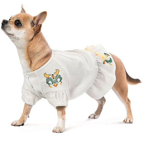 Pet Fashion Вишиванка "Maryana" для собак