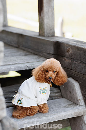 Pet Fashion Вишиванка "Maryana" для собак