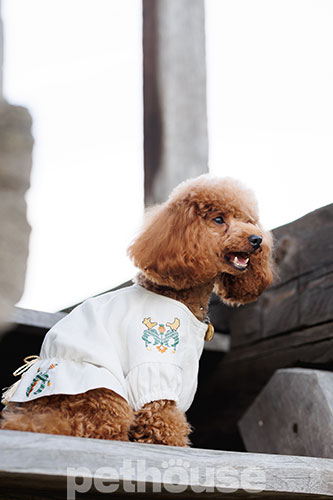 Pet Fashion Вишиванка "Maryana" для собак
