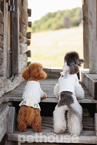 Pet Fashion Вишиванка "Maryana" для собак