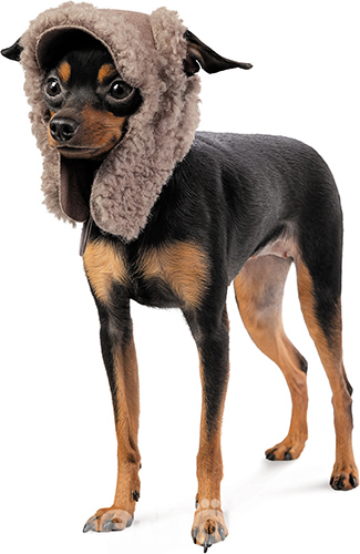 Pet Fashion Шапка "Valley" для собак
