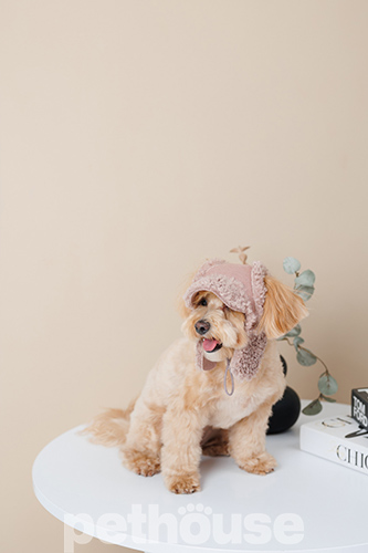 Pet Fashion Шапка "Valley" для собак