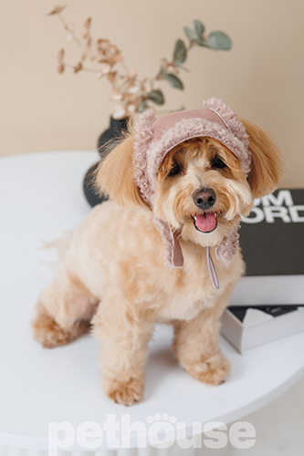 Pet Fashion Шапка "Valley" для собак