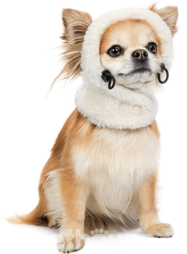 Pet Fashion Шапка "Teddy" для собак