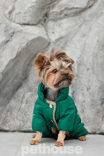 Pet Fashion Комбінезон "EGO" для собак